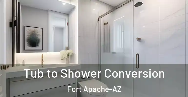 inner Bathroom imggen Tub to Shower Conversion Fort Apache-AZ