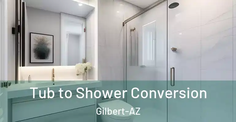 inner Bathroom imggen Tub to Shower Conversion Gilbert-AZ
