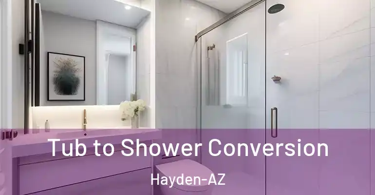 inner Bathroom imggen Tub to Shower Conversion Hayden-AZ