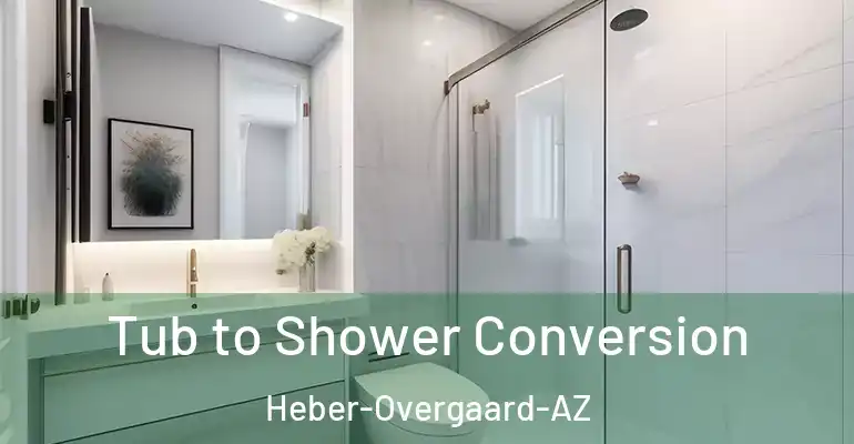inner Bathroom imggen Tub to Shower Conversion Heber-Overgaard-AZ