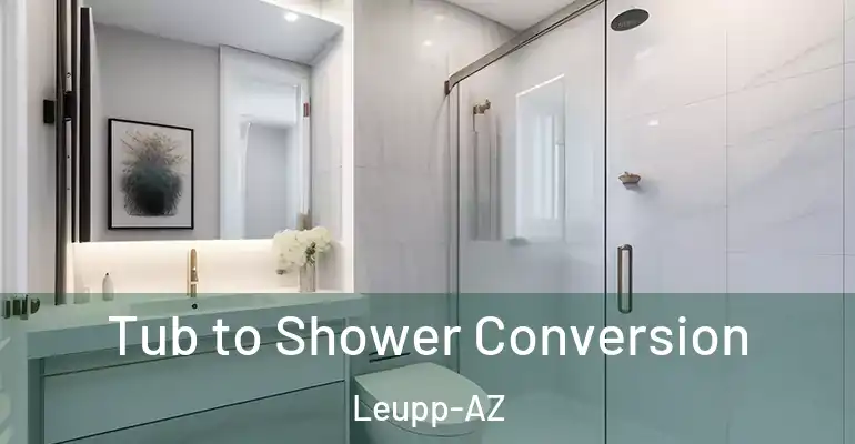 inner Bathroom imggen Tub to Shower Conversion Leupp-AZ