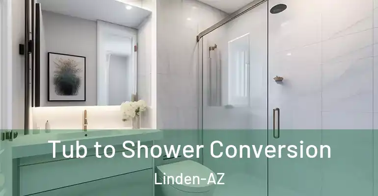 inner Bathroom imggen Tub to Shower Conversion Linden-AZ
