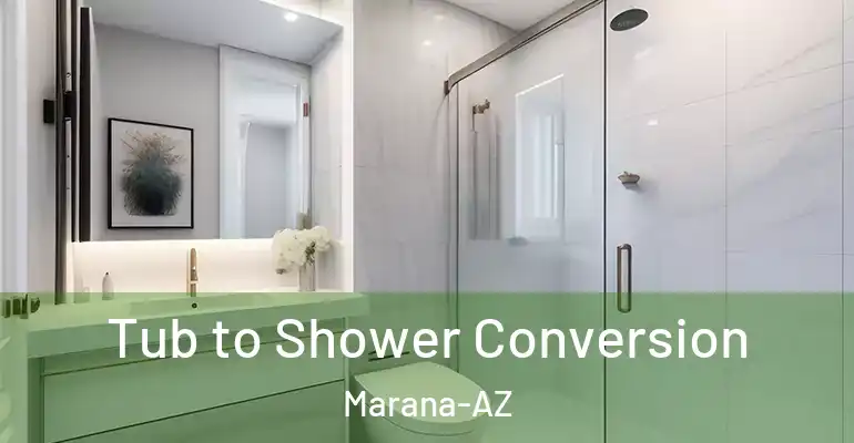 inner Bathroom imggen Tub to Shower Conversion Marana-AZ