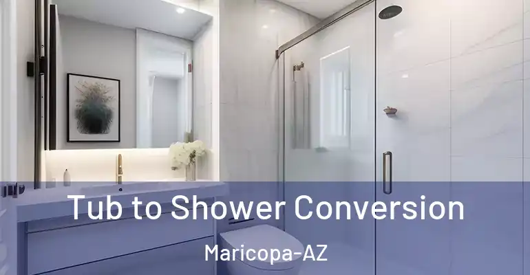 inner Bathroom imggen Tub to Shower Conversion Maricopa-AZ