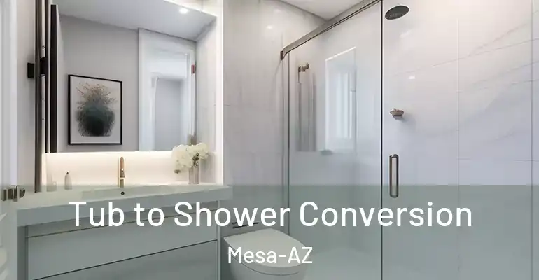 inner Bathroom imggen Tub to Shower Conversion Mesa-AZ