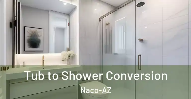 inner Bathroom imggen Tub to Shower Conversion Naco-AZ