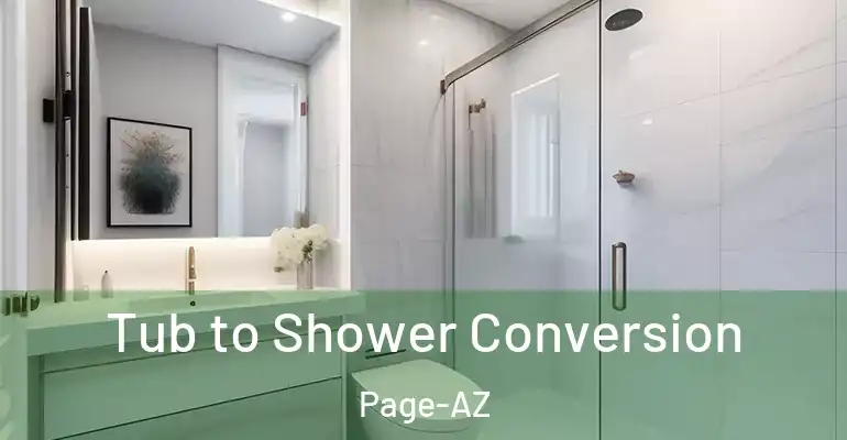 inner Bathroom imggen Tub to Shower Conversion Page-AZ