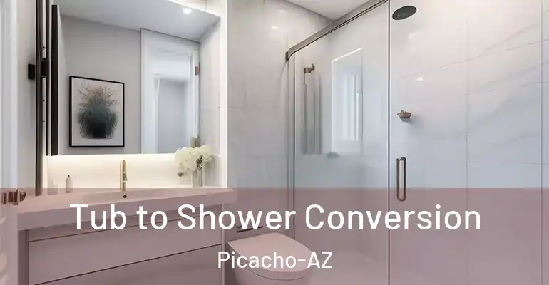 inner Bathroom imggen Tub to Shower Conversion Picacho-AZ
