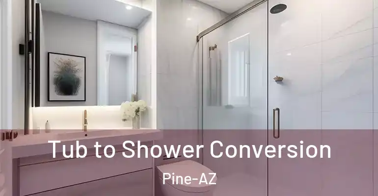 inner Bathroom imggen Tub to Shower Conversion Pine-AZ