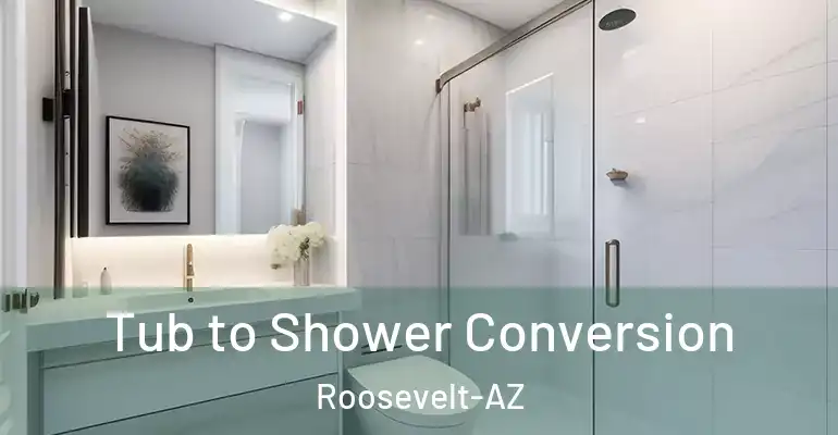 inner Bathroom imggen Tub to Shower Conversion Roosevelt-AZ