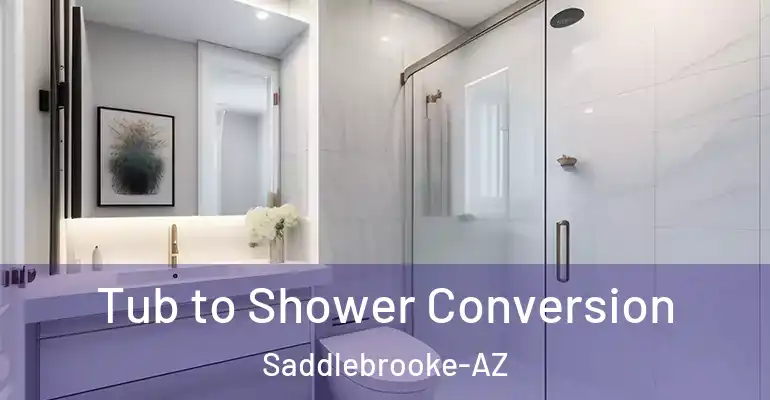 inner Bathroom imggen Tub to Shower Conversion Saddlebrooke-AZ