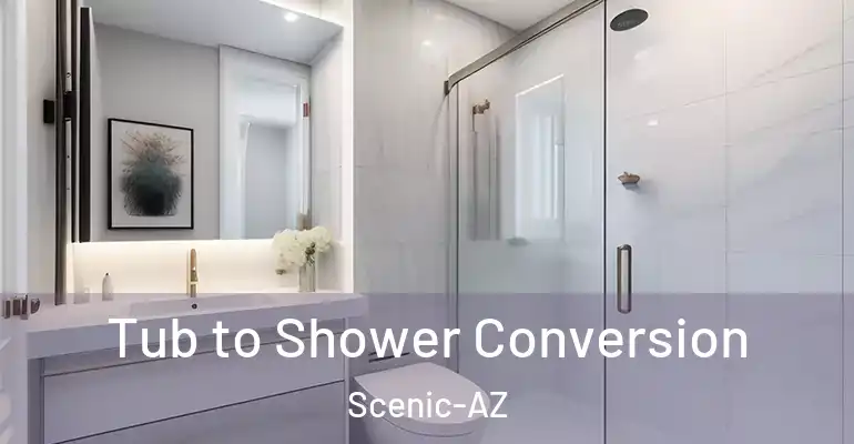 inner Bathroom imggen Tub to Shower Conversion Scenic-AZ