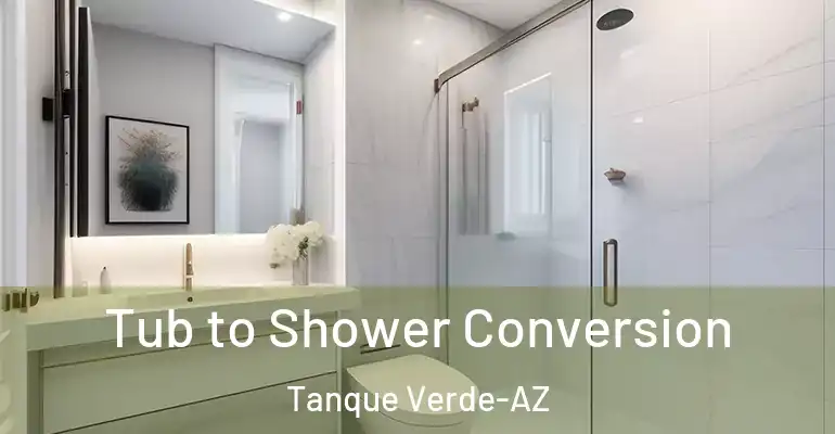 inner Bathroom imggen Tub to Shower Conversion Tanque Verde-AZ