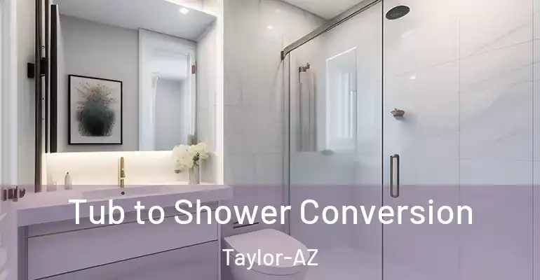 inner Bathroom imggen Tub to Shower Conversion Taylor-AZ