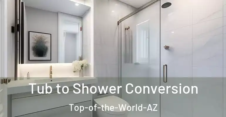 inner Bathroom imggen Tub to Shower Conversion Top-of-the-World-AZ