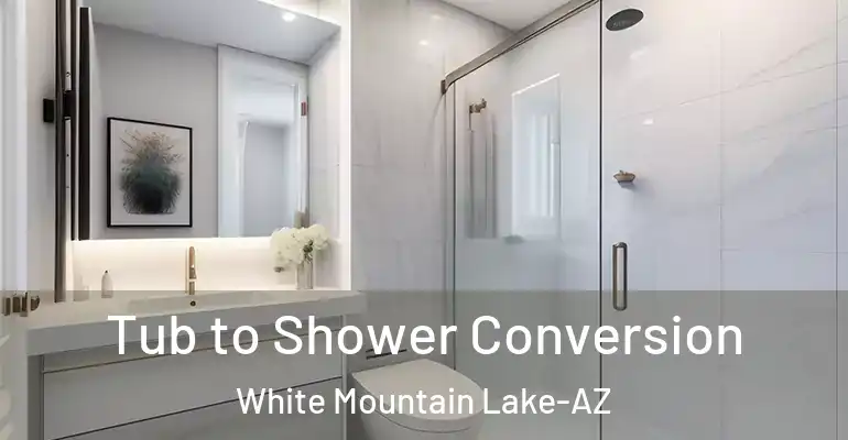 inner Bathroom imggen Tub to Shower Conversion White Mountain Lake-AZ