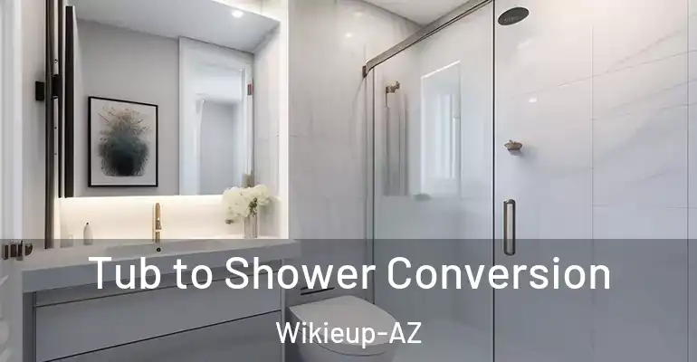 inner Bathroom imggen Tub to Shower Conversion Wikieup-AZ