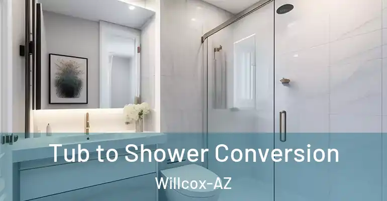 inner Bathroom imggen Tub to Shower Conversion Willcox-AZ