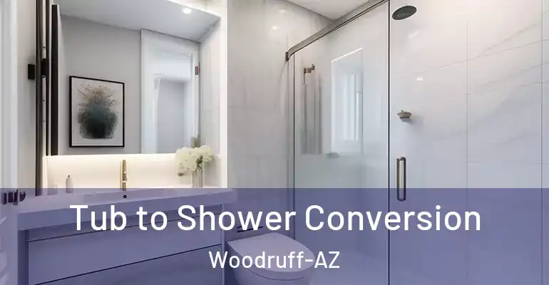 inner Bathroom imggen Tub to Shower Conversion Woodruff-AZ