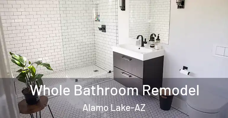 inner Bathroom imggen Whole Bathroom Remodel Alamo Lake-AZ