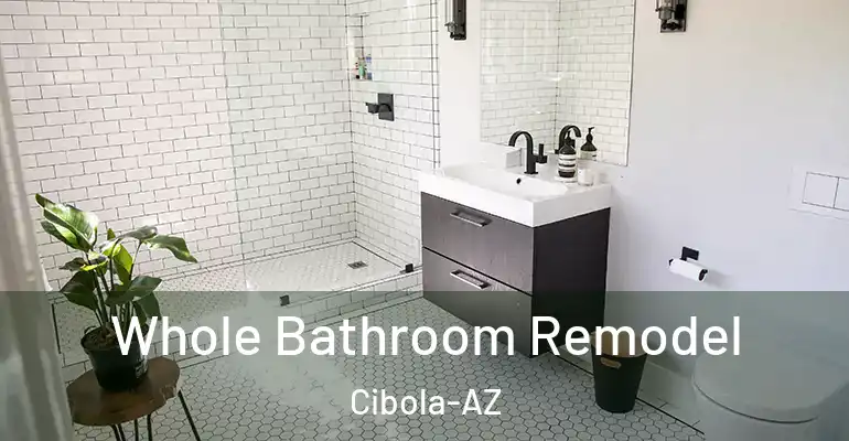 inner Bathroom imggen Whole Bathroom Remodel Cibola-AZ