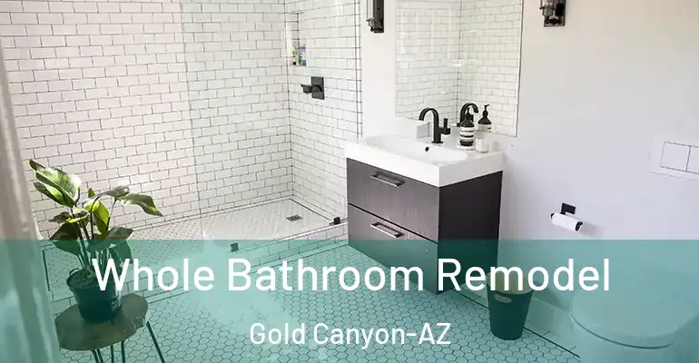 inner Bathroom imggen Whole Bathroom Remodel Gold Canyon-AZ