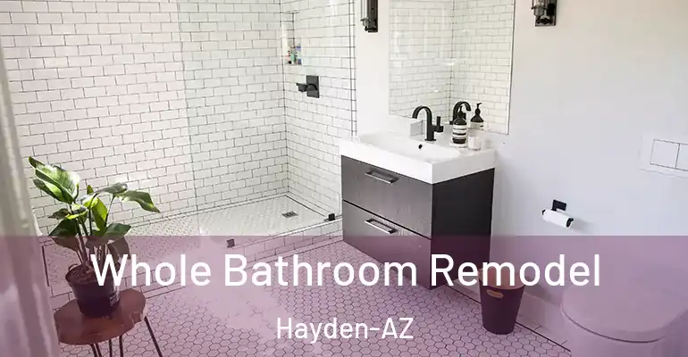 inner Bathroom imggen Whole Bathroom Remodel Hayden-AZ