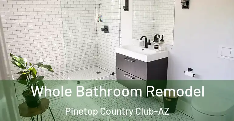 inner Bathroom imggen Whole Bathroom Remodel Pinetop Country Club-AZ