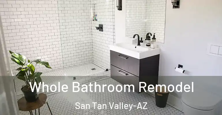 inner Bathroom imggen Whole Bathroom Remodel San Tan Valley-AZ