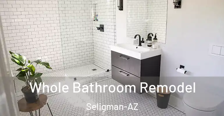 inner Bathroom imggen Whole Bathroom Remodel Seligman-AZ