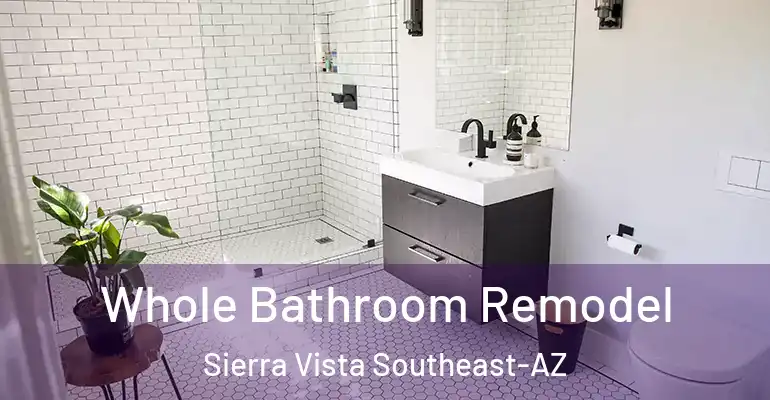 inner Bathroom imggen Whole Bathroom Remodel Sierra Vista Southeast-AZ