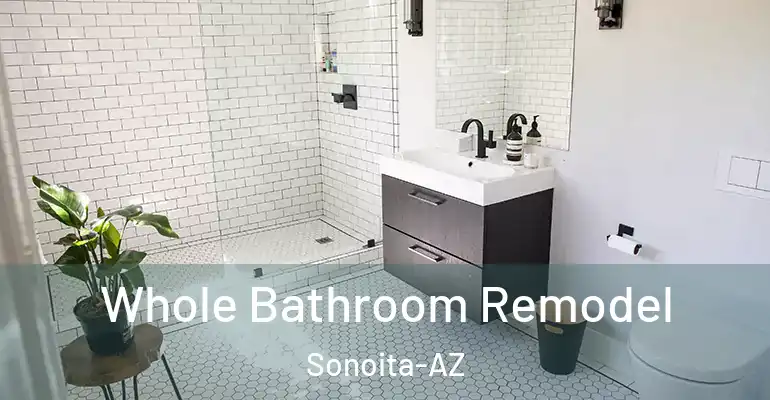 inner Bathroom imggen Whole Bathroom Remodel Sonoita-AZ